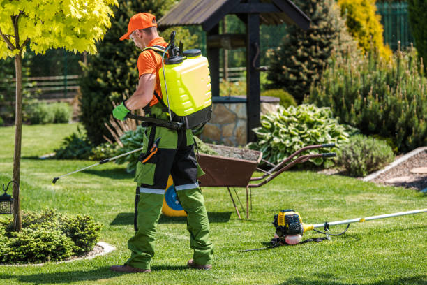 Best Pest Exclusion Services  in Morenci, MI